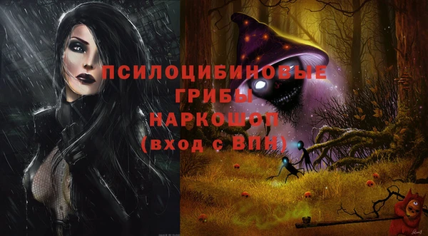 ГАЛЛЮЦИНОГЕННЫЕ ГРИБЫ Лабытнанги