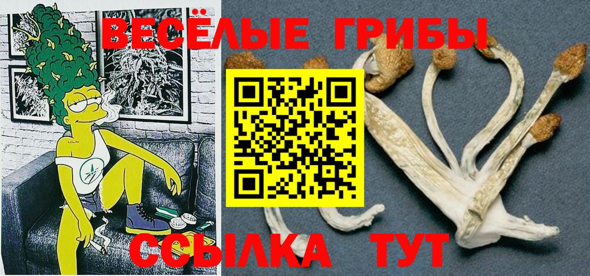 Псилоцибиновые грибы мухоморы Канаш
