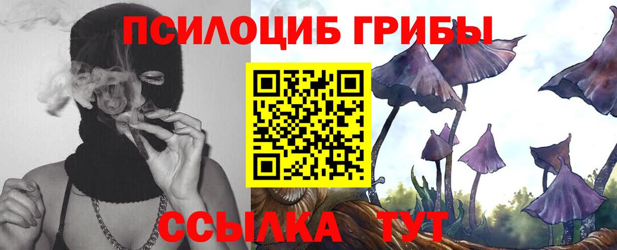 Канаш  Галлюциногенные грибы Magic Shrooms  Вход с VPN  Псилоцибиновые грибы Cubensis 